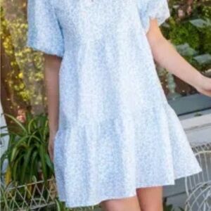 THML Blue and White Puff Sleeve Dress
